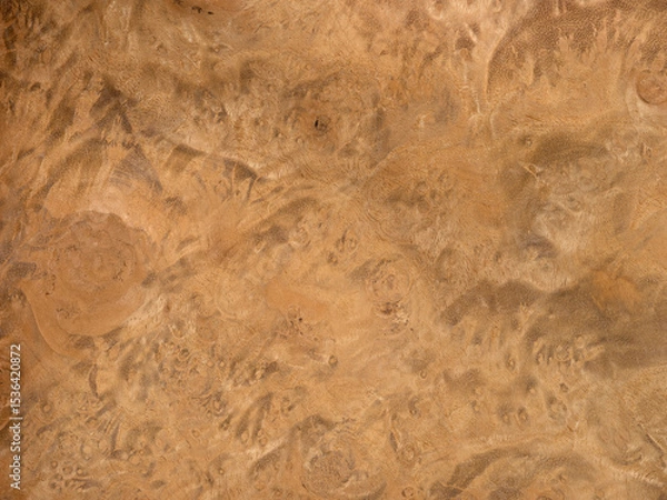 Fototapeta Myrtle root veneer with mesmerizing patterns and a warm, golden sheen