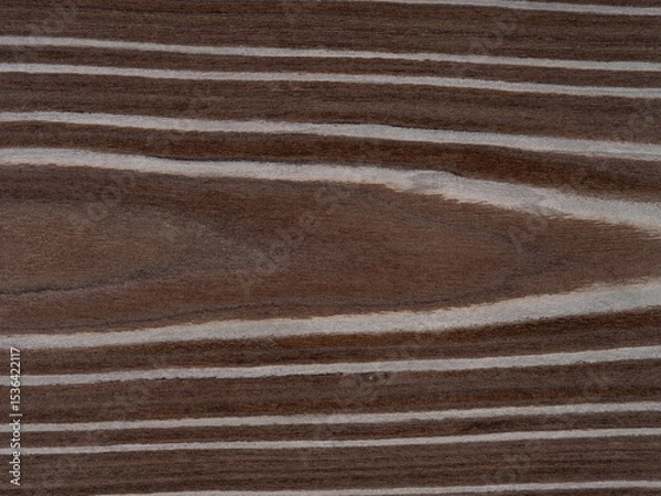 Fototapeta Crown bark veneer surface showcasing rich walnut and soft beige in a natural striped pattern