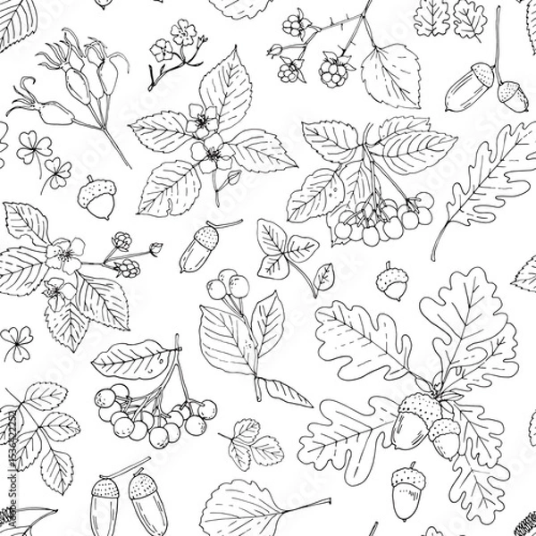 Obraz Nature motifs. Flowers, leaves. Vector pattern on white background. Line drawing