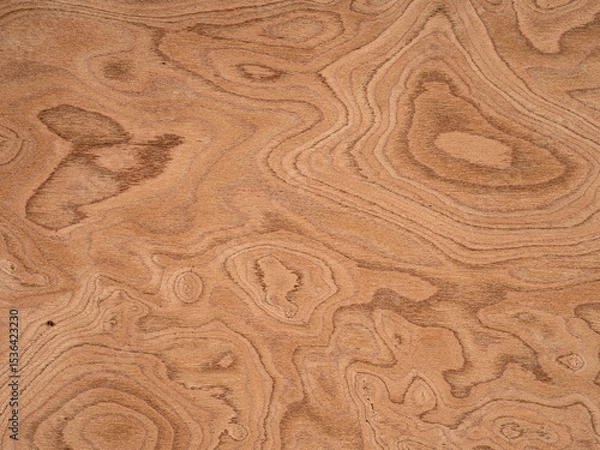 Fototapeta Swirling patterns of rich sienna and subdued tan create a mesmerizing veneer surface, showcasing the unique beauty of burl wood