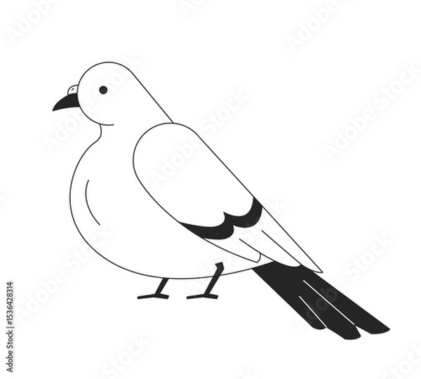 Obraz Pigeon side view 2D line character. Domestic rooftop bird feathered wings. Avian mascot. Winged creature Columba. Urban wildlife isolated vector ink outline animal. Monochromatic spot illustration