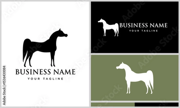 Obraz Horse Logo Design Variations. (74)