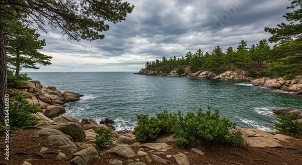 Fototapeta a rocky shore with trees and rocks
