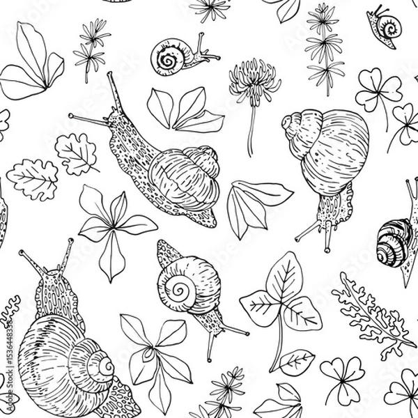 Obraz Nature motifs. Flowers, leaves. Vector pattern on white background. Line drawing