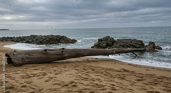 Fototapeta a large log laying on the beach