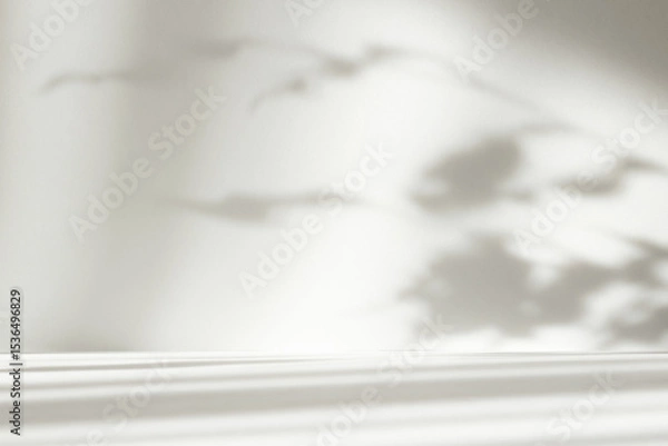 Fototapeta Abstract white color studio background for product presentation. Empty room with shadows of window and flowers and plant leaves . 3d grey room with copy space. Summer concept. Blurred backdrop.