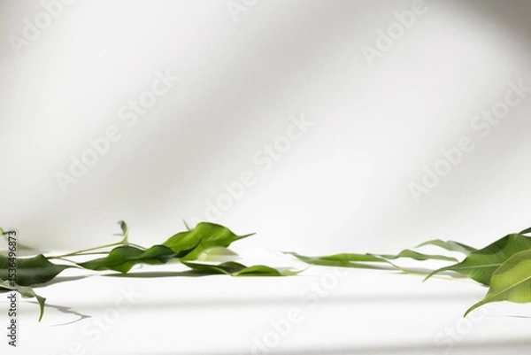Fototapeta Abstract white color studio background for product presentation. Empty room with shadows of window and flowers and plant leaves . 3d grey room with copy space. Summer concept. Blurred backdrop.