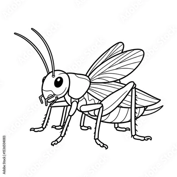 Fototapeta Cricket insect line art drawing vector illustration for coloring page and educational use on transparent background