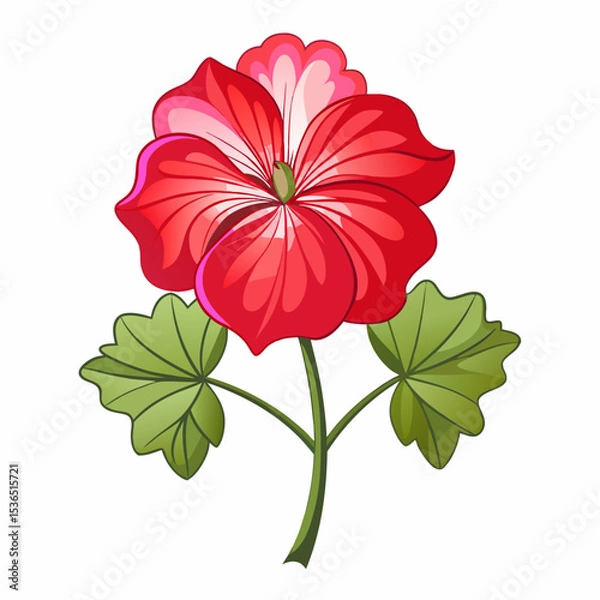 Obraz red dahlia flower