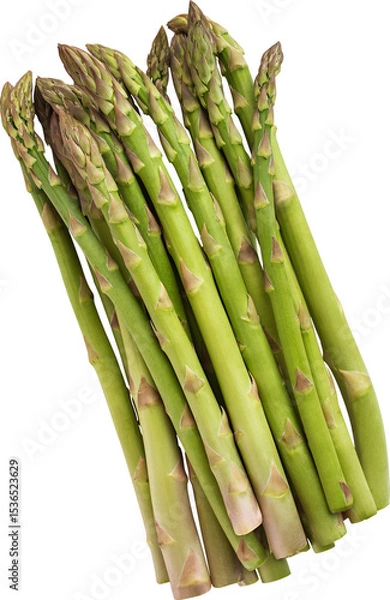 Obraz Asparagus Without Background