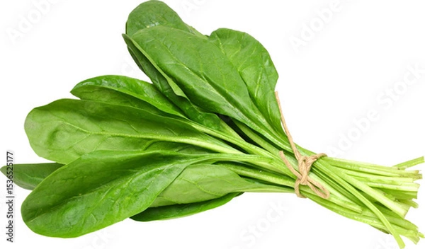 Obraz Green Mustards Without Background