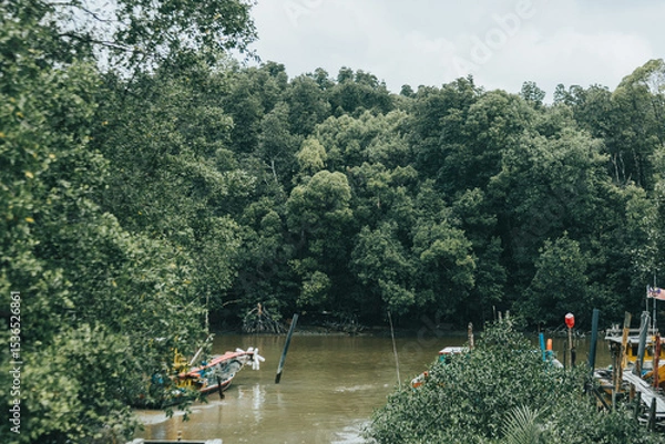 Obraz Kuala Sepetang