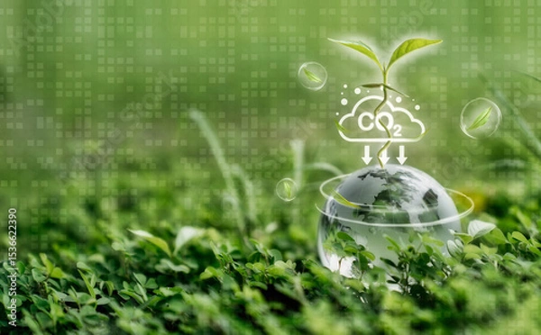 Fototapeta Sustainable Environment: Seedling Absorbing CO2 on Earth Globe
