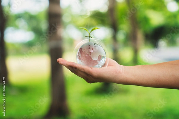 Obraz Hand Holding Glass Globe with Growing Seedling Eco Concept