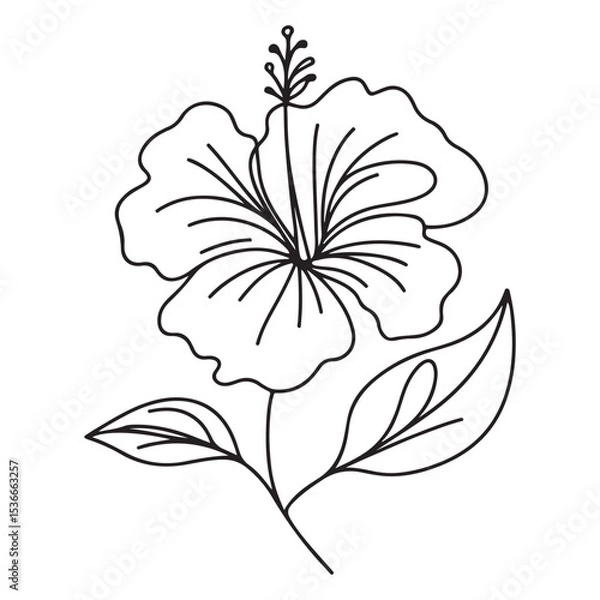 Obraz Simple Hibiscus Flower Line Drawing Vector Illustration Floral Design