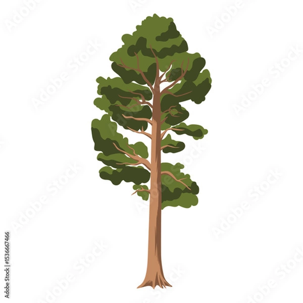 Fototapeta The pine tree is in a flat style. Plants in the forest. Vector illustration.