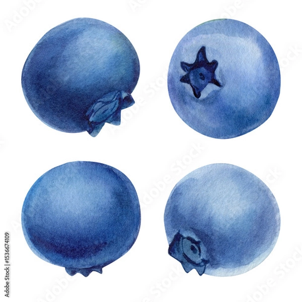Obraz Watercolor Blueberry Clipart Set with Four Isolated Berries Handpainted Fruit Elements for Food Packaging Labels Summer Recipes
