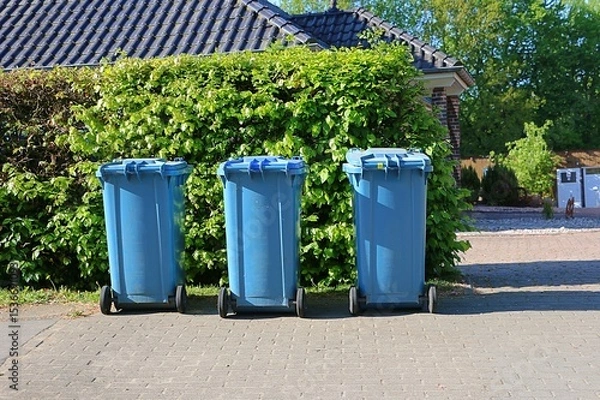 Obraz Three full blue bins with paper waste are standing by the hedge at the roadside ready for collection and emptying