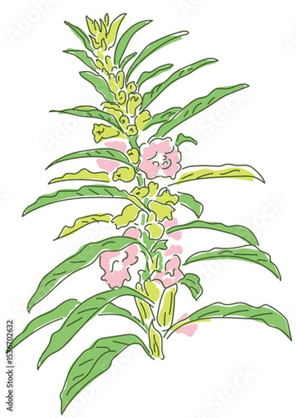 Fototapeta ラフなゴマの花
