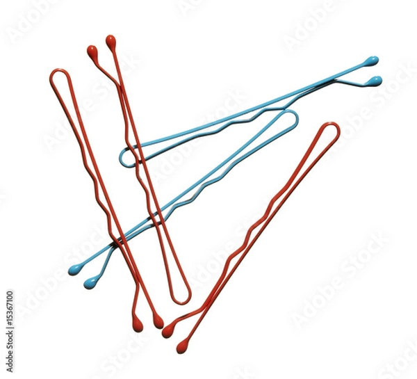 Obraz hair bobby pins