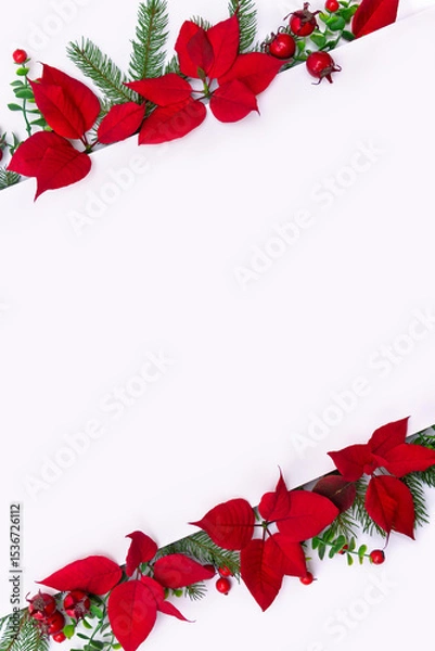 Obraz Christmas decoration. Flowers of red poinsettia, branch christmas tree, red berries with space for text on a white background. Top view, flat lay