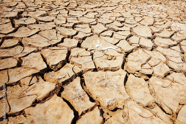 Obraz dry out earth