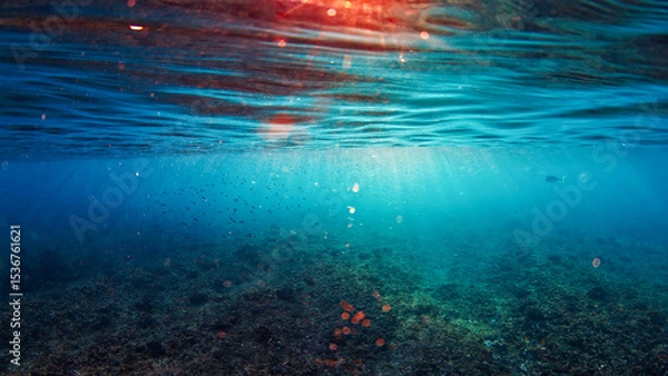 Obraz Underwater view of the sea surface with sun rays in the Maldives
