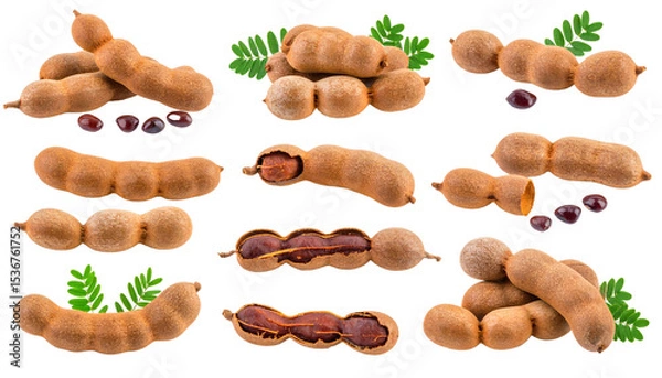 Fototapeta A variety of tamarind pods showcasing their textures and shapes, perfect for culinary use.