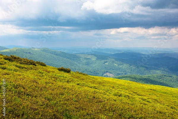 Fototapeta beautiful view in to the valley from the mountain top. scenic landscape with wide meadow in highlands of ukraine. sunny weather in summer with cloudy sky