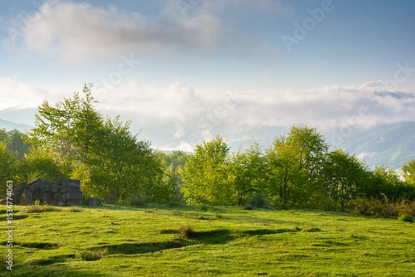 Fototapeta countryside mountain landscape with morning fog. alpine scenery of sunny transcarpathia under blue sky with clouds. forest behind the meadow on the edge of a hill. distant rural valley in mist