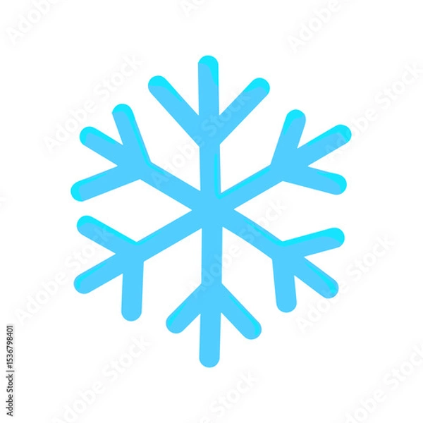 Obraz Snowflake