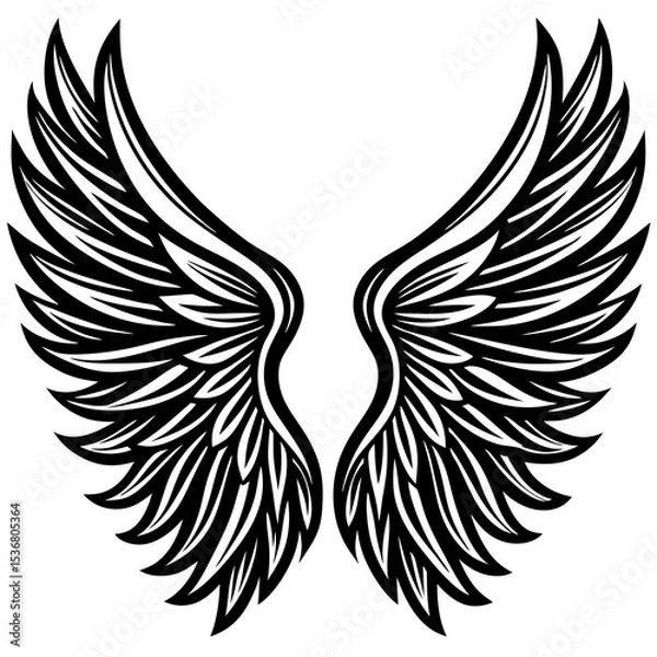 Obraz Wings Outline