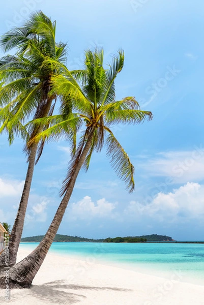 Fototapeta Sunny day at beautiful Chaweng Beach, with coconut palm trees and turquoise water in Koh Samui, Thailand. Holiday summer beach concept.