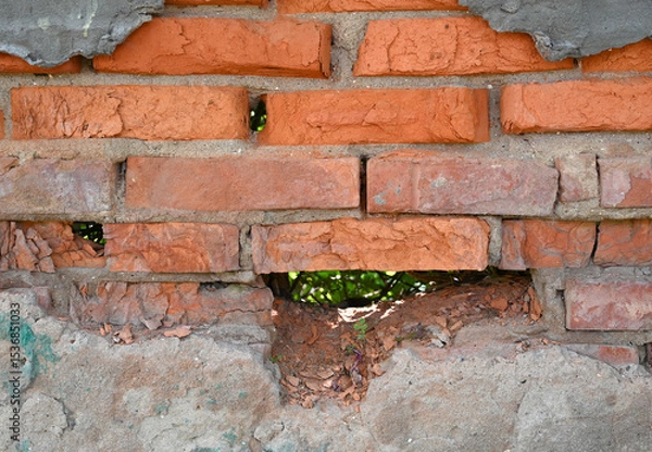 Fototapeta Weathered brick wall showing signs of decay and nature's encroachment through a large gap in the structure