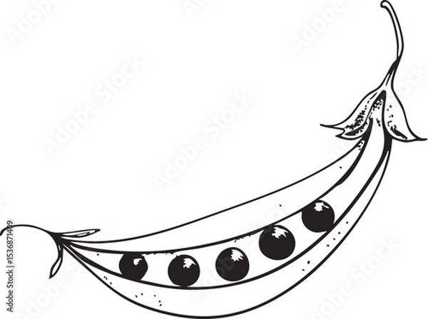 Fototapeta peas in pod line art isolated on white