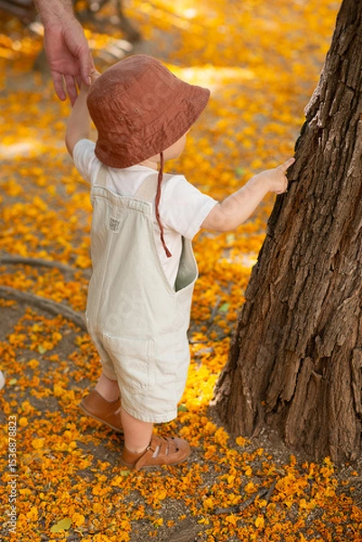 Obraz A baby boy takes his first steps park, extends a small finger toward the textured bark of a tree, captivated by its rough surface. The moment captures pure curiosity and the wonder of early discovery.