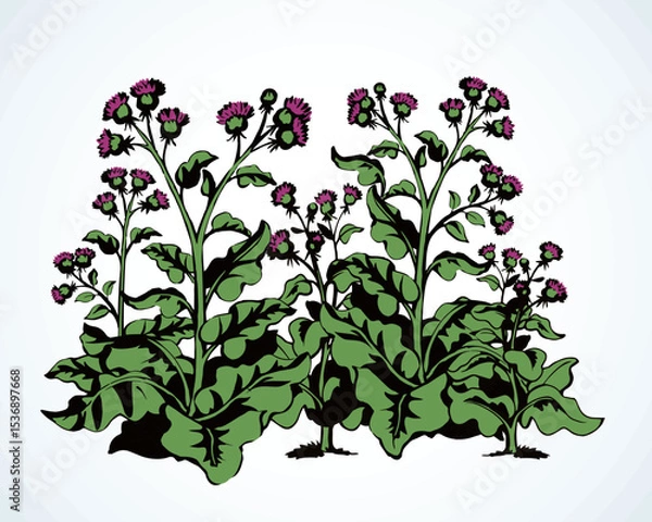 Obraz Big blooming burdock. Vector drawing