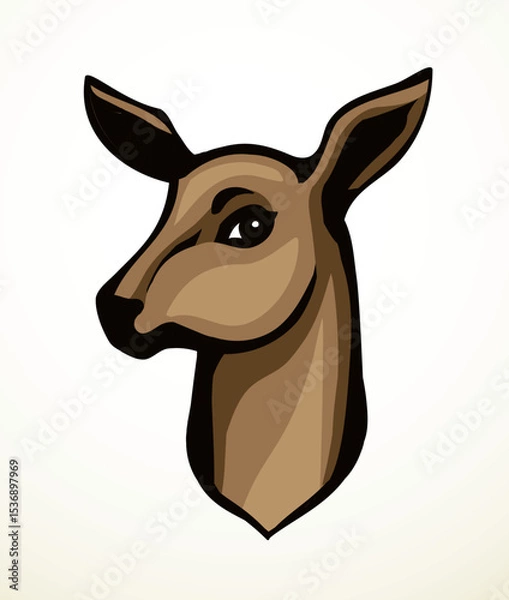 Obraz Beautiful noble deer. Vector drawing