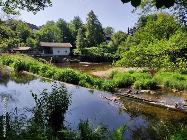 Obraz japanese garden with pond