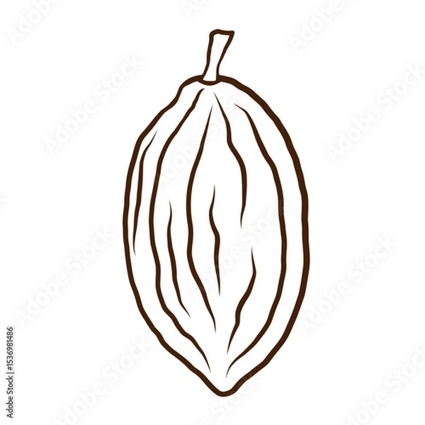 Obraz Cacao fruit sketch. Hand drawn ink line art cacao bean plant on isolated background. Design for card, logo, label, print, paper, template. Food, chocolate, spa ingredient. Vector illustration close-up