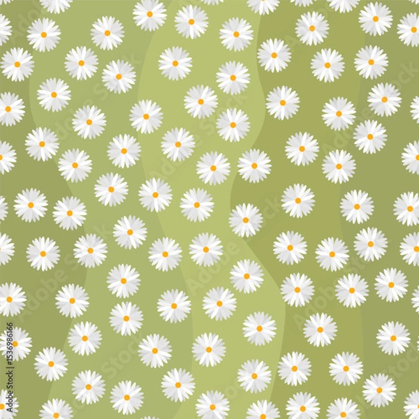 Fototapeta Seamless pattern with daisy flowers on green background.
