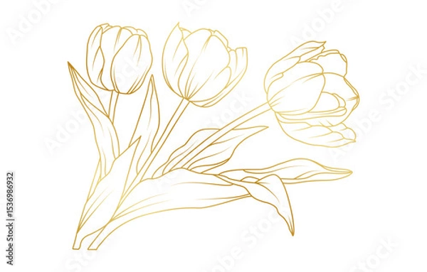 Obraz Golden tulip flowers line art isolated on white background. Luxury tulip floral design elements for invitation, wedding, wallpaper, print template, vector illustration