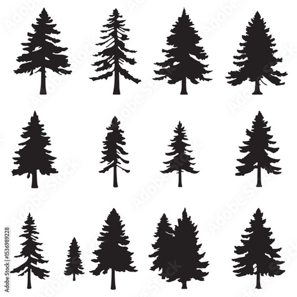 Obraz Forest trees set. Isolated vector silhouette. Coniferous forest. Christmas tree, fir-tree, pine, pine-tree, Scotch fir, cedar
