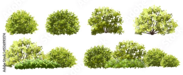 Fototapeta  Vector watercolor green  tree or forest side view isolated on white background for landscape and architecture drawing,elements for environment or and garden,Shrub for section
