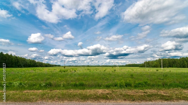 Obraz Beautiful natural scenic panorama green field of grass and lupines flowers into and blue sky with clouds on horizon. Perfect green grass and road on summer sunny day.