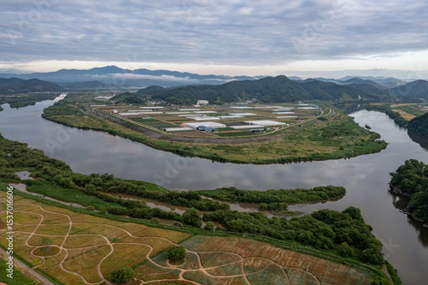 Fototapeta aerial drone view. Riverside scenery on a spring day full of red poppies, cornflowers, baby breath, and spring flowers.
