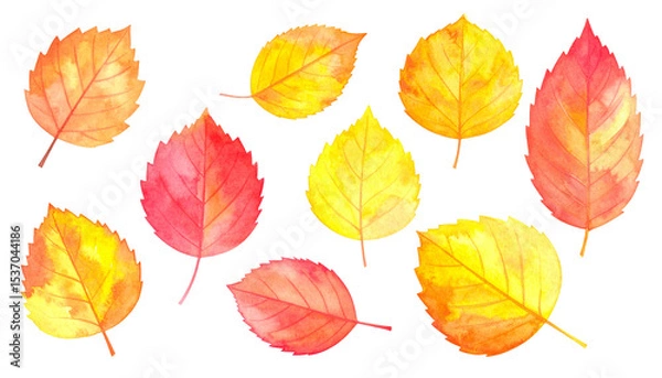 Fototapeta Feuilles d'automne, ensemble de feuilles diverses (matériel d'illustration avec texture aquarelle)