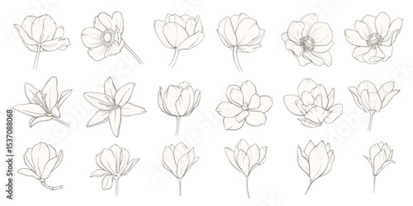 Fototapeta Set of Elegant floral line art bouquet composition. Hand drawn minimalist flowers and leaves in delicate style for prints, wall art, wedding invitations, greeting cards. Vector delicate illustration