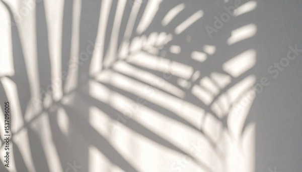 Obraz Shadows Create a Calming Atmosphere on a Wall From Palm Leaves in a Sunlit Room in the Afternoon