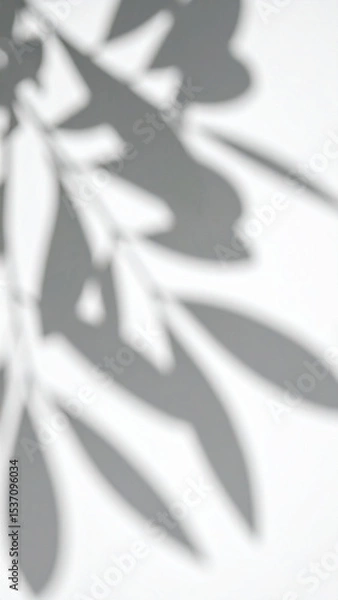 Obraz Shadows of Green Leaves Create Intricate Patterns on a White Surface During the Afternoon Light in a Serene Outdoor Setting